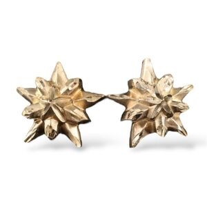 ✧ 10K gold starburst stud earrings